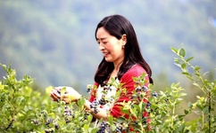 最新广场舞甩葱歌